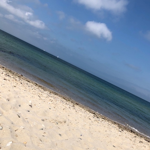 Meet your Posher, Maddie - Picture 1 of 1